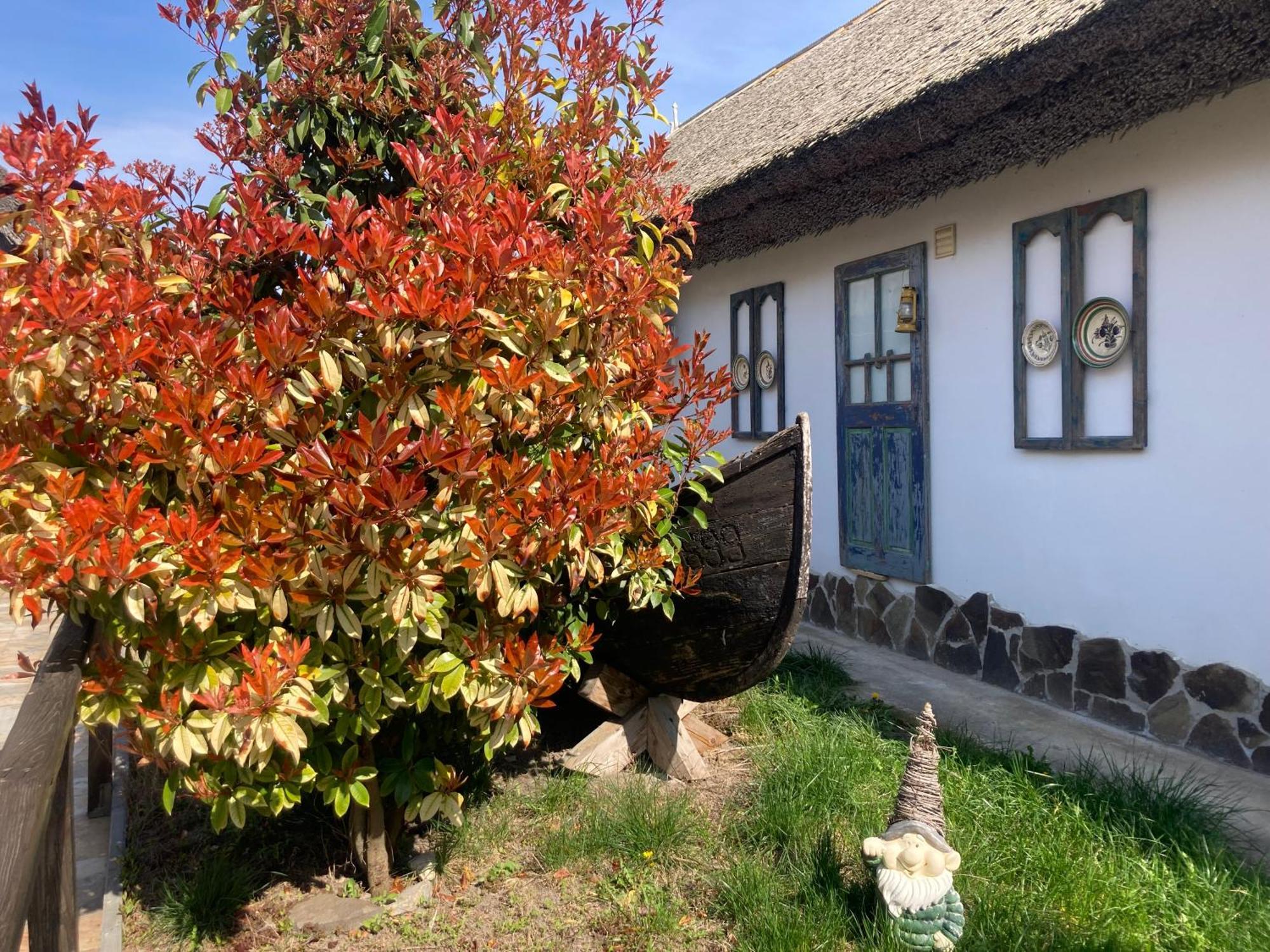 Pensiune Casa Soarelui Murighiol